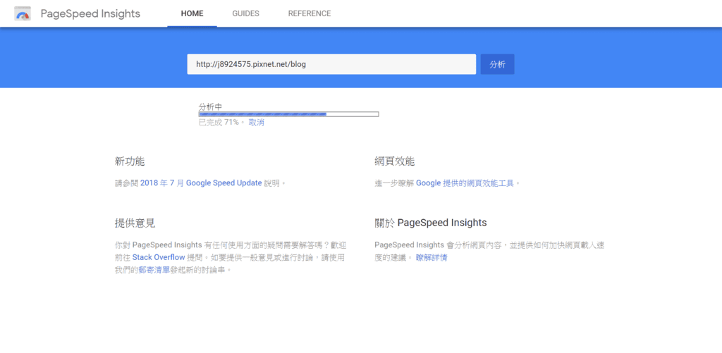 pagespeedinsight_home.png