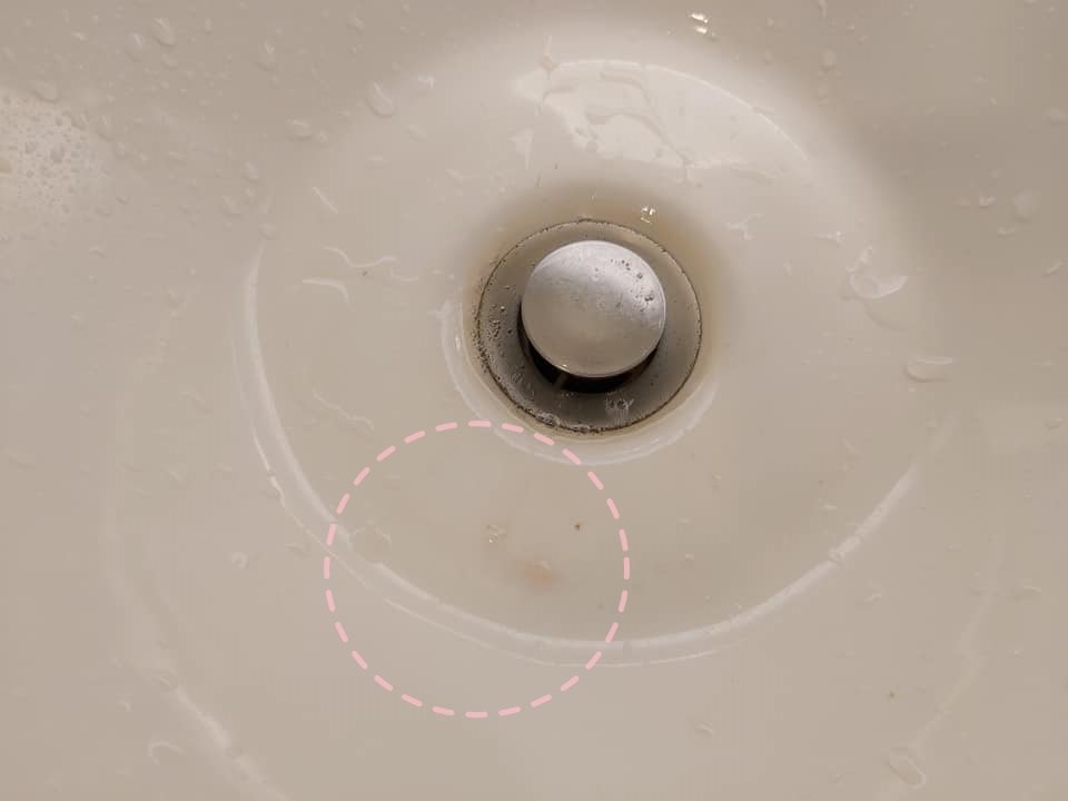72138855_10217296602221949_8592269589625176064_n.jpg