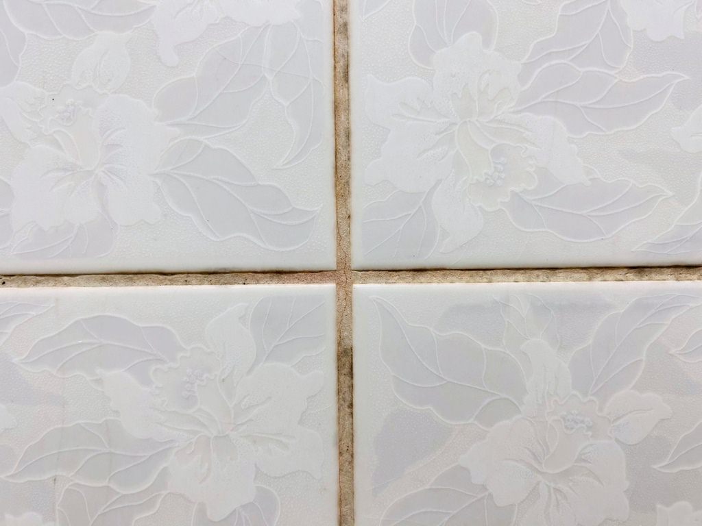 潔淨學 除霉凝膠 磁磚縫發霉.jpg