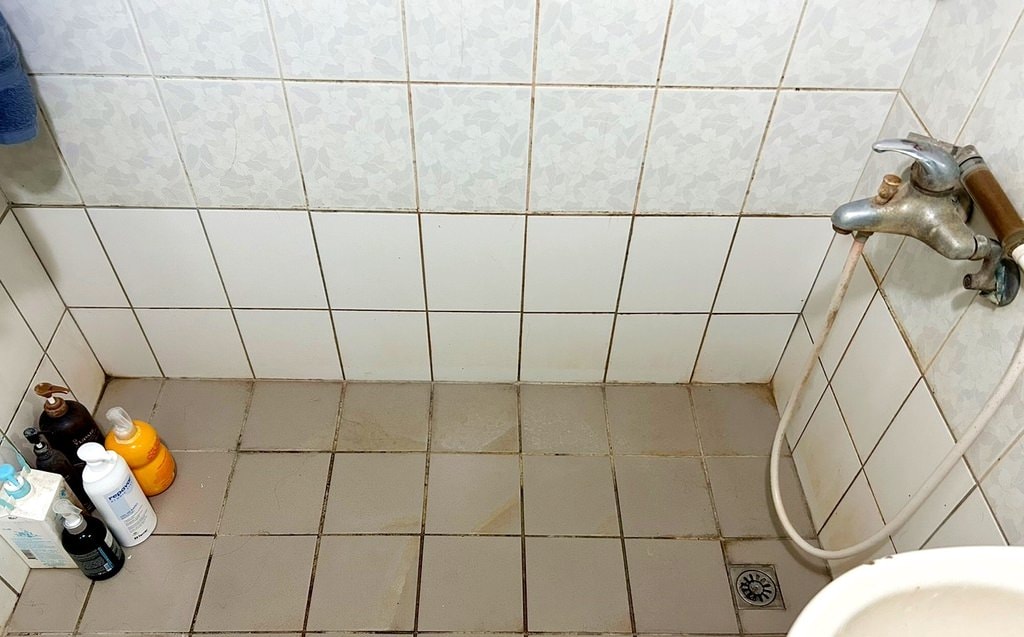 潔淨學 除霉凝膠 浴室除霉 磁磚縫發霉.jpg