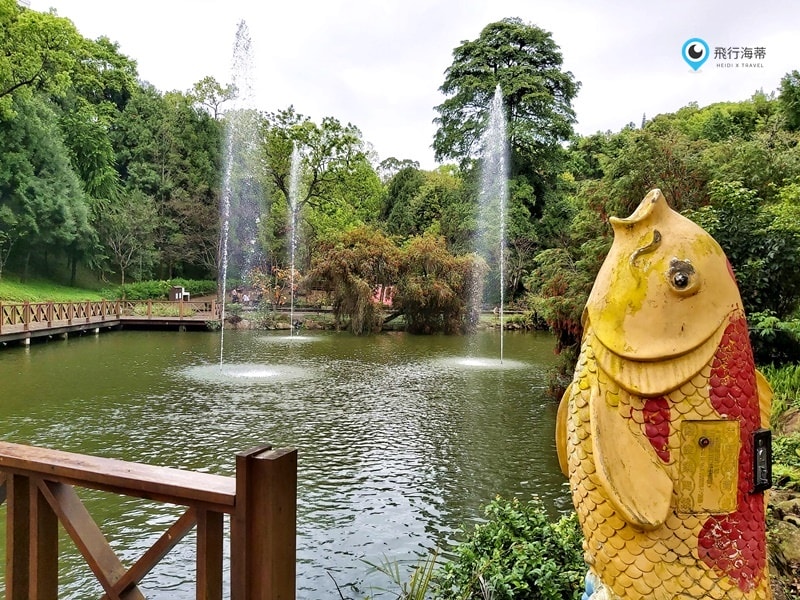 東勢林場水池可餵魚