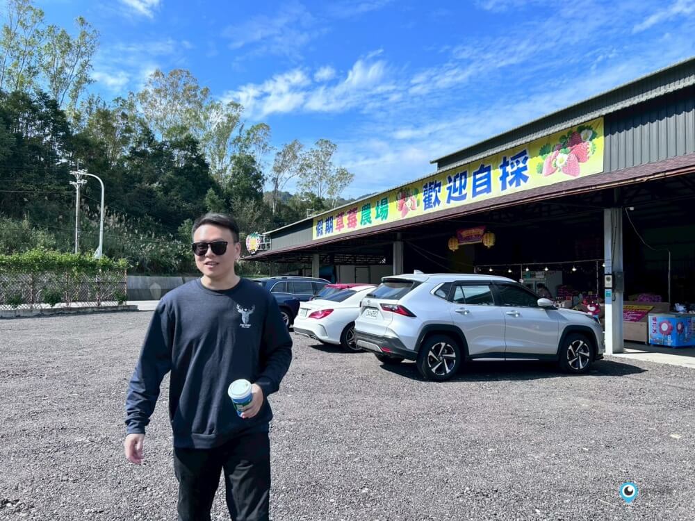 苗栗採草莓【五將假期草莓】高架草莓園不用蹲不用彎腰好好採 拍照打卡超漂亮 一訪就愛上