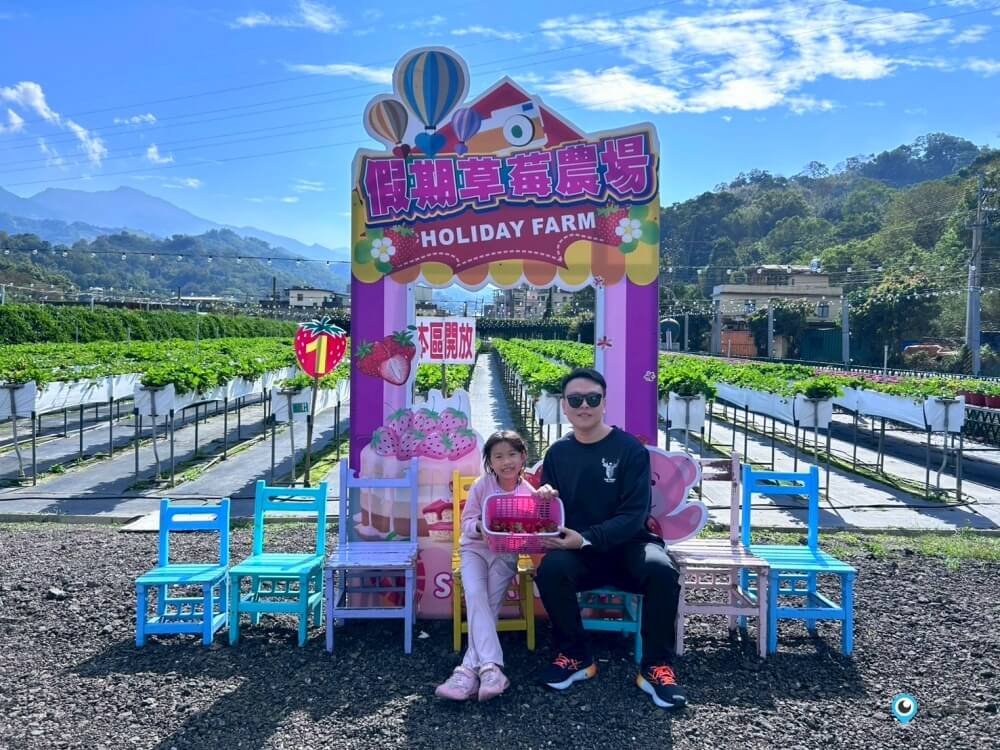 苗栗採草莓【五將假期草莓】高架草莓園不用蹲不用彎腰好好採 拍照打卡超漂亮 一訪就愛上