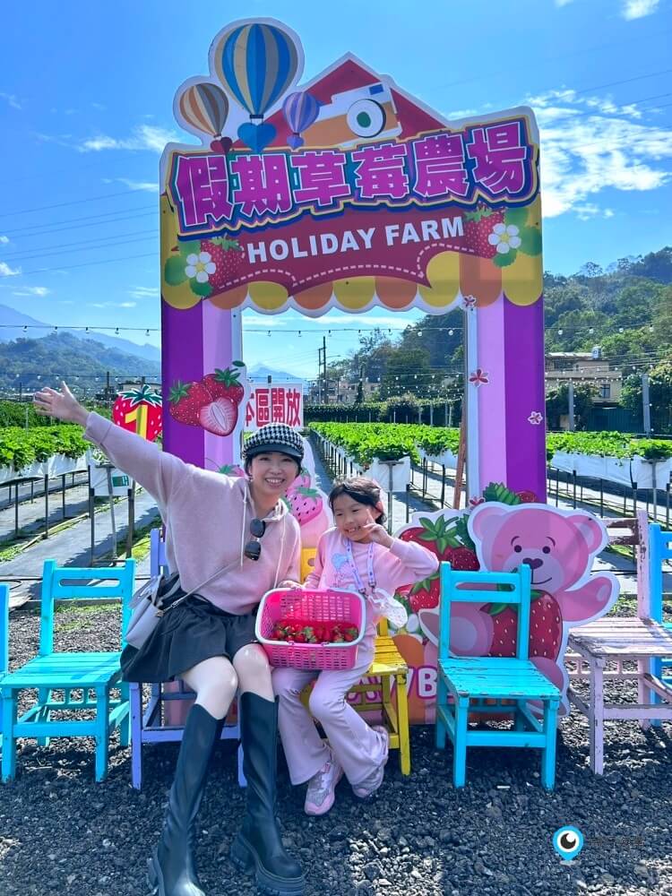 苗栗採草莓【五將假期草莓】高架草莓園不用蹲不用彎腰好好採 拍照打卡超漂亮 一訪就愛上