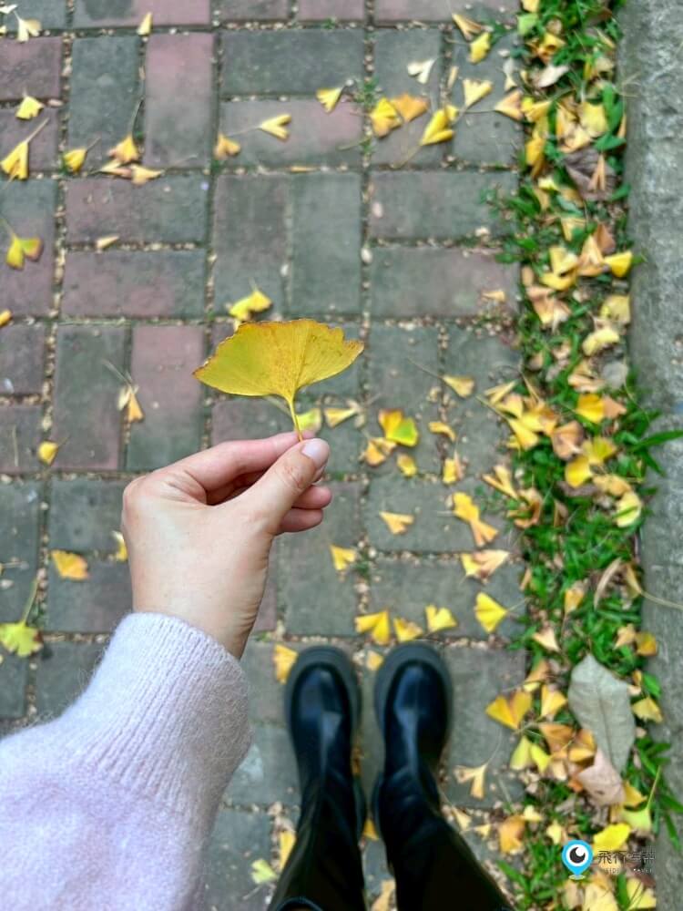 苗栗【巧克力雲莊】歐風莊園吃下午茶 巧克力DIY 親子探險時光 糖果屋滿滿少女心拍不停 - 第23張圖 苗栗【巧克力雲莊】歐風莊園吃下午茶 巧克力DIY 親子探險時光 糖果屋滿滿少女心拍不停