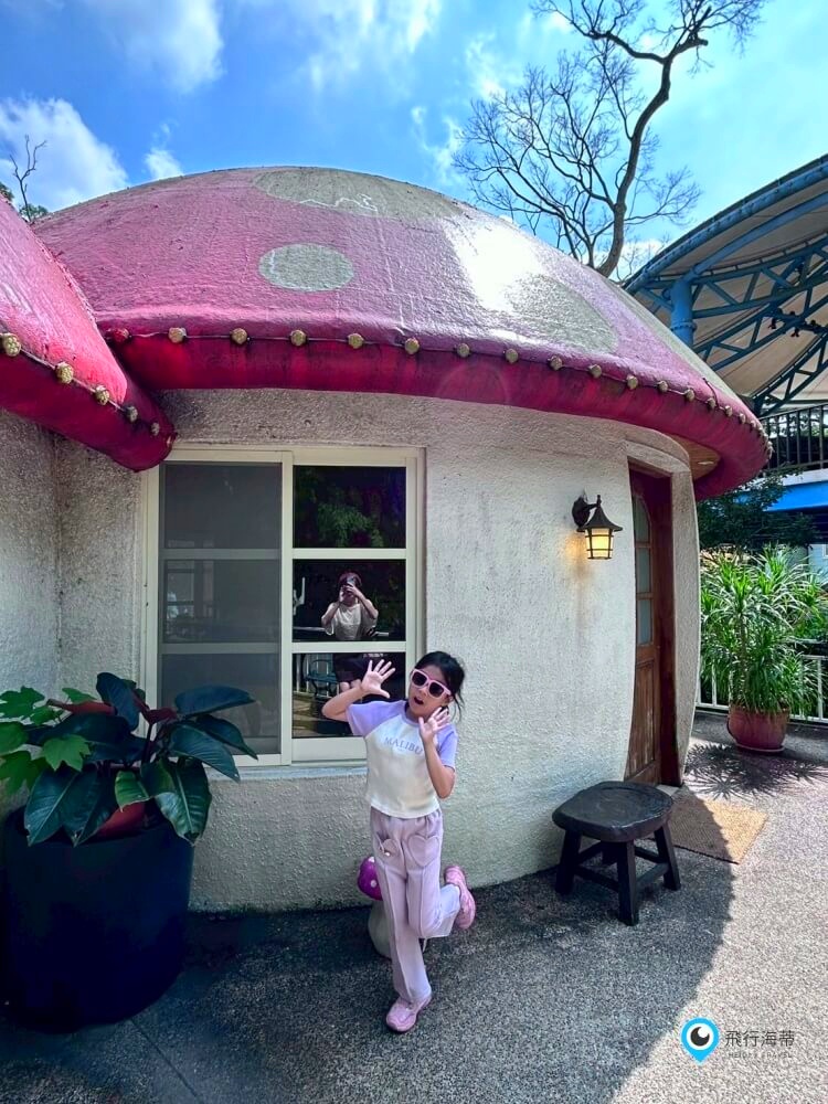 苗栗【蘇維拉莊園】全台最長最刺激森林溜滑梯 蘑菇屋 樹屋 露營車 火車露營超可愛 - 第7張圖 苗栗【蘇維拉莊園】全台最長最刺激森林溜滑梯 蘑菇屋 樹屋 露營車 火車露營超可愛