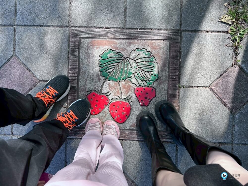 苗栗【大湖酒莊】採草莓後的完美中繼站 最愛來喝草莓果汁 拍大草莓全家福