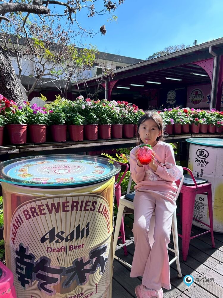 苗栗【大湖酒莊】採草莓後的完美中繼站 最愛來喝草莓果汁 拍大草莓全家福