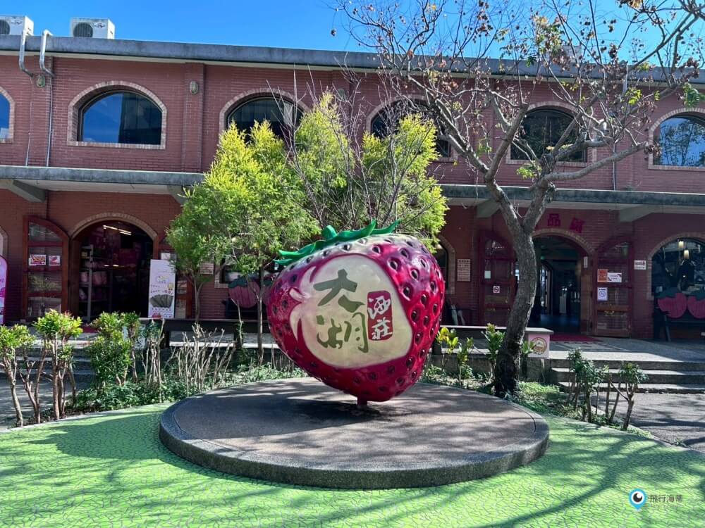 苗栗【大湖酒莊】採草莓後的完美中繼站 最愛來喝草莓果汁 拍大草莓全家福