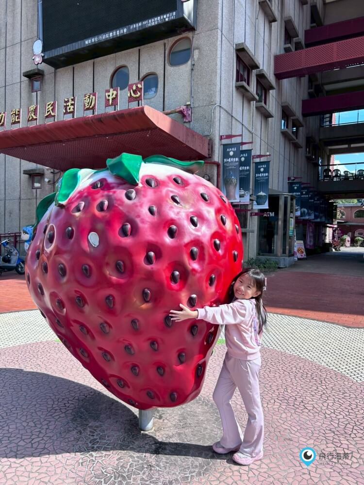 苗栗【大湖酒莊】採草莓後的完美中繼站 最愛來喝草莓果汁 拍大草莓全家福