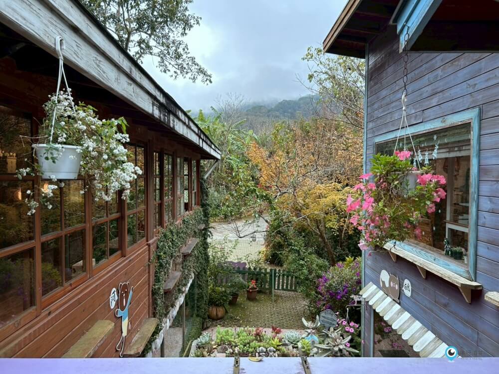 苗栗【橄欖樹咖啡民宿】走進山中秘境的鄉村小屋 轉角遇見貓咪 點燈後美到不想睡
