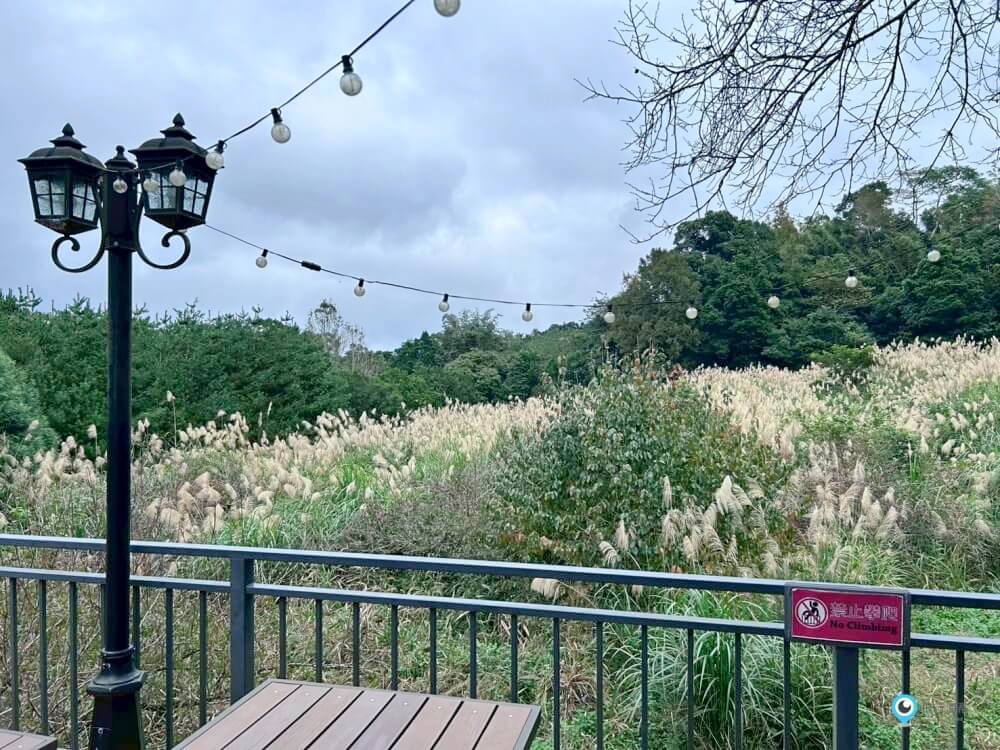 苗栗【橄欖樹咖啡民宿】走進山中秘境的鄉村小屋 轉角遇見貓咪 點燈後美到不想睡