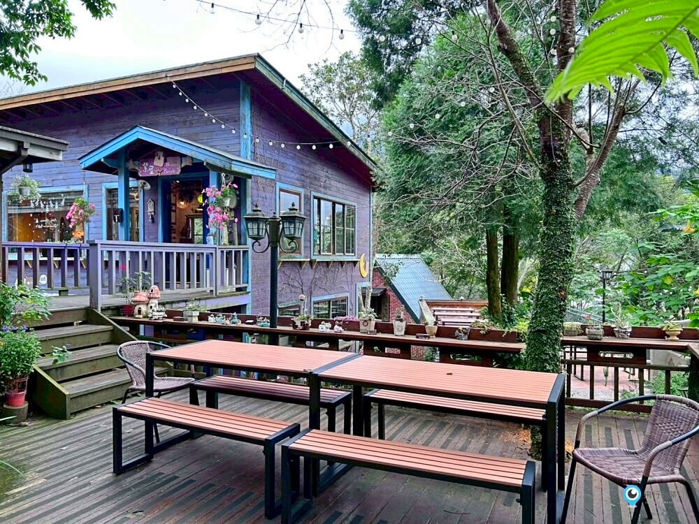 苗栗【橄欖樹咖啡民宿】走進山中秘境的鄉村小屋 轉角遇見貓咪 點燈後美到不想睡