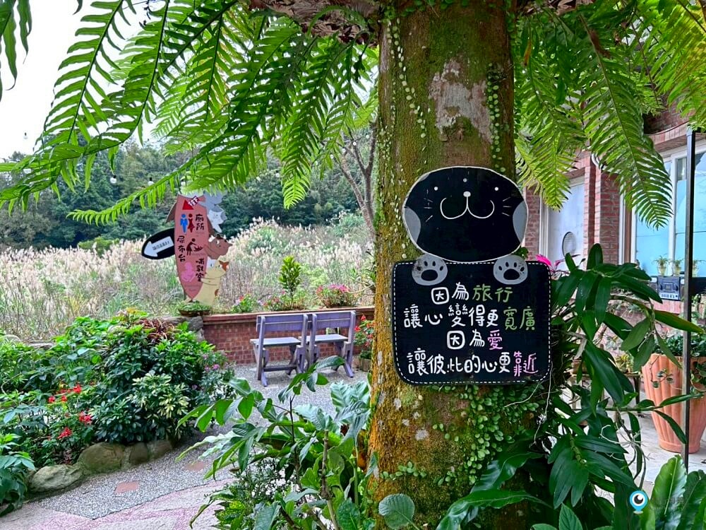 苗栗【橄欖樹咖啡民宿】走進山中秘境的鄉村小屋 轉角遇見貓咪 點燈後美到不想睡