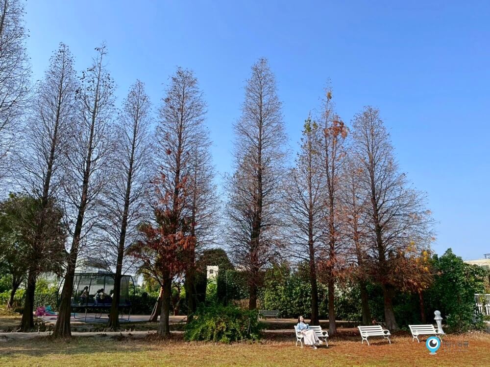 彰化【探索迷宮 親子童樂餐廳】歐式迷宮 落羽松林環境優美 室內室外都好玩 遊戲區玩到不想回家 - 第34張圖 探索迷宮