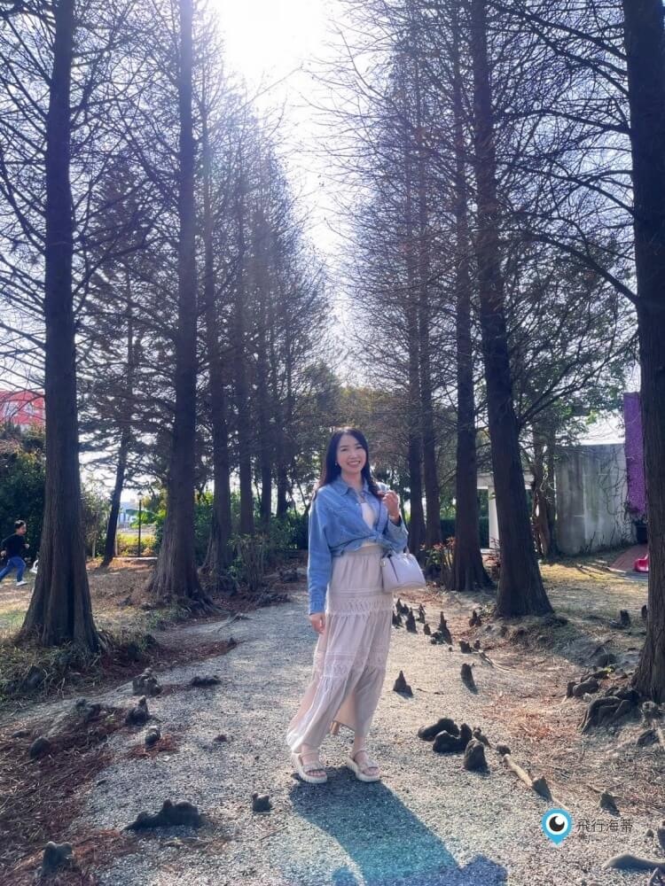 彰化【探索迷宮 親子童樂餐廳】歐式迷宮 落羽松林環境優美 室內室外都好玩 遊戲區玩到不想回家 - 第47張圖 彰化【探索迷宮 親子童樂餐廳】歐式迷宮 落羽松林環境優美 室內室外都好玩 遊戲區玩到不想回家