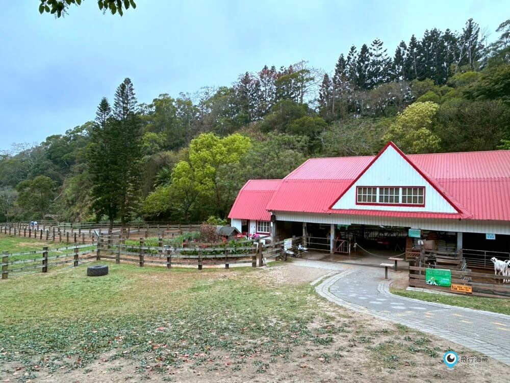 苗栗【飛牛牧場】台版紐西蘭 體驗擠牛奶 餵小羊喝奶 超大片草原超美拍療癒 - 第41張圖 苗栗【飛牛牧場】台版紐西蘭 體驗擠牛奶 餵小羊喝奶 超大片草原超美拍療癒