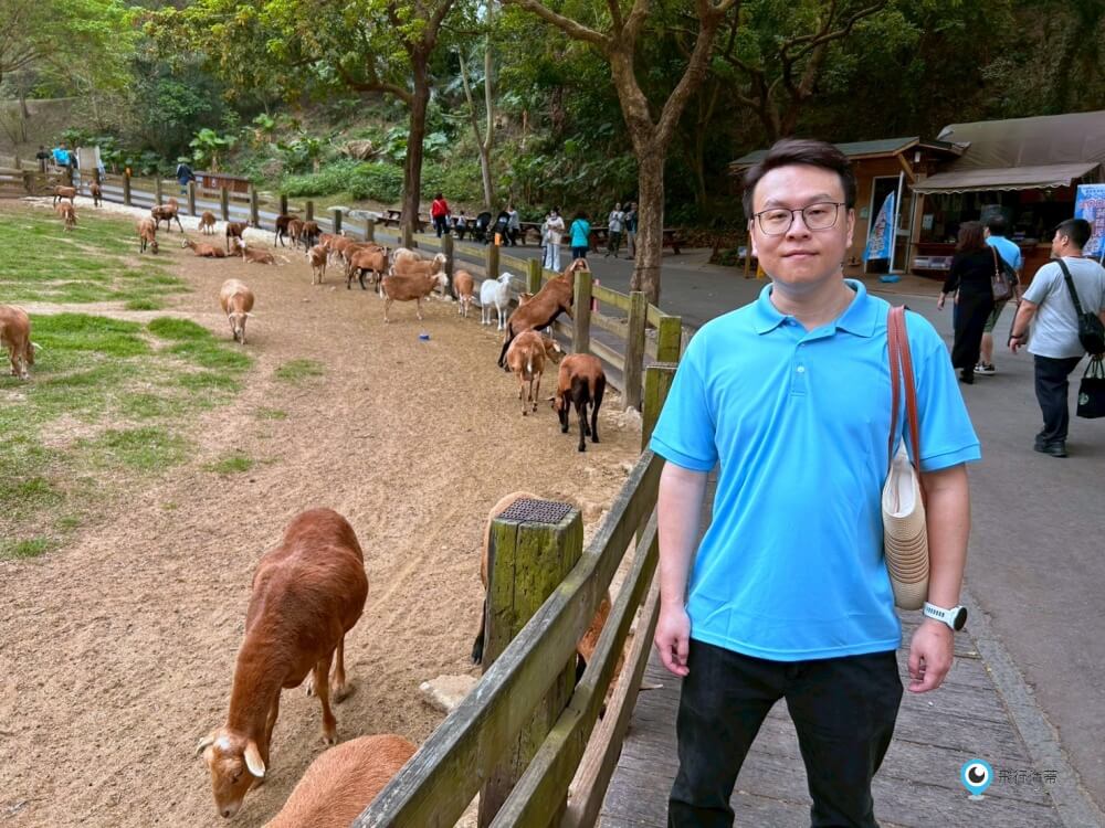 苗栗【飛牛牧場】台版紐西蘭 體驗擠牛奶 餵小羊喝奶 超大片草原超美拍療癒 - 第47張圖 苗栗【飛牛牧場】台版紐西蘭 體驗擠牛奶 餵小羊喝奶 超大片草原超美拍療癒