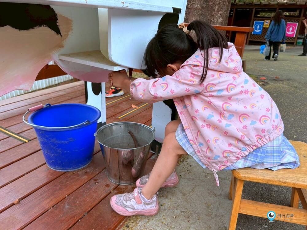 苗栗【飛牛牧場】台版紐西蘭 體驗擠牛奶  餵小羊喝奶 超大片草原超美拍療癒