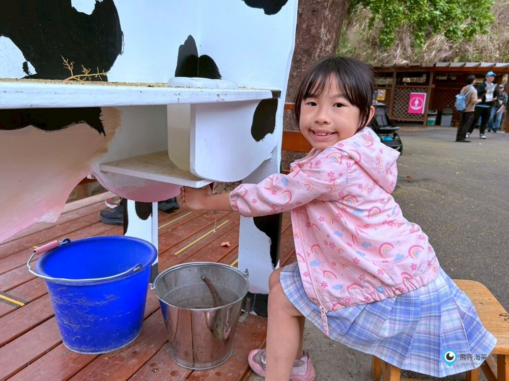 苗栗【飛牛牧場】台版紐西蘭 體驗擠牛奶 餵小羊喝奶 超大片草原超美拍療癒 - 第46張圖 苗栗【飛牛牧場】台版紐西蘭 體驗擠牛奶 餵小羊喝奶 超大片草原超美拍療癒