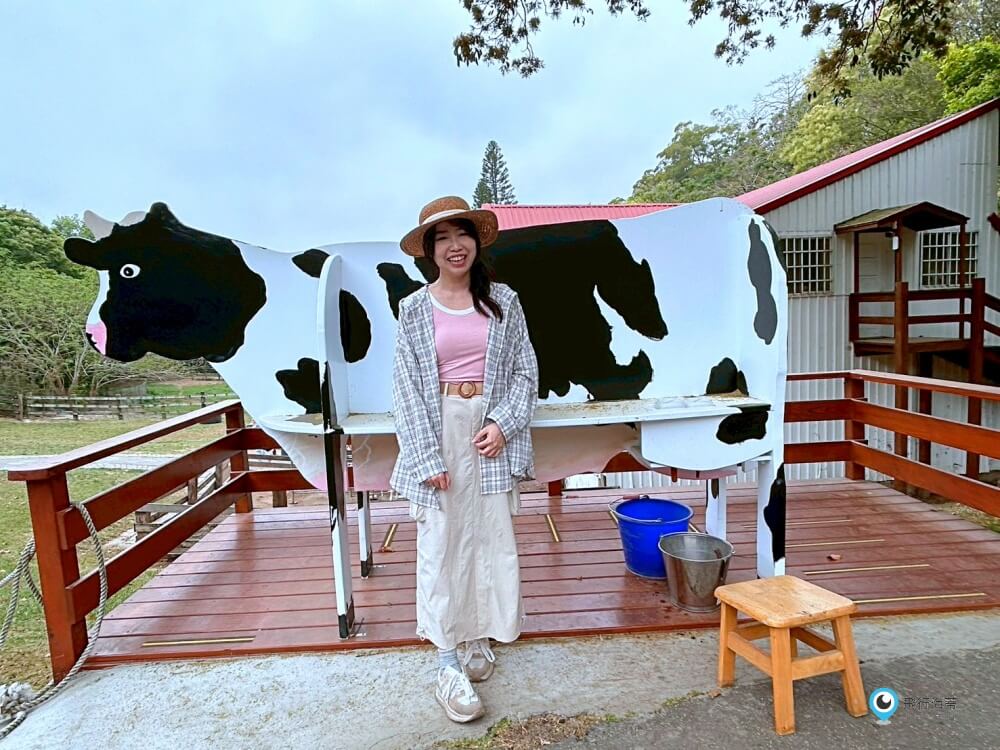 苗栗【飛牛牧場】台版紐西蘭 體驗擠牛奶 餵小羊喝奶 超大片草原超美拍療癒 - 第43張圖 苗栗【飛牛牧場】台版紐西蘭 體驗擠牛奶 餵小羊喝奶 超大片草原超美拍療癒