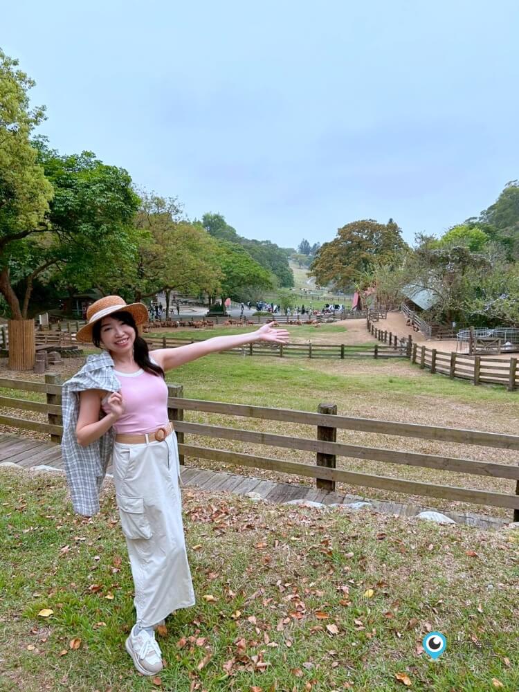 苗栗【飛牛牧場】台版紐西蘭 體驗擠牛奶  餵小羊喝奶 超大片草原超美拍療癒