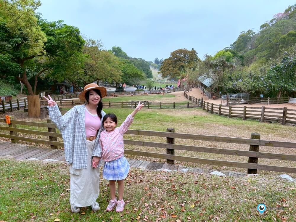 苗栗【飛牛牧場】台版紐西蘭 體驗擠牛奶 餵小羊喝奶 超大片草原超美拍療癒 - 第48張圖 苗栗【飛牛牧場】台版紐西蘭 體驗擠牛奶 餵小羊喝奶 超大片草原超美拍療癒