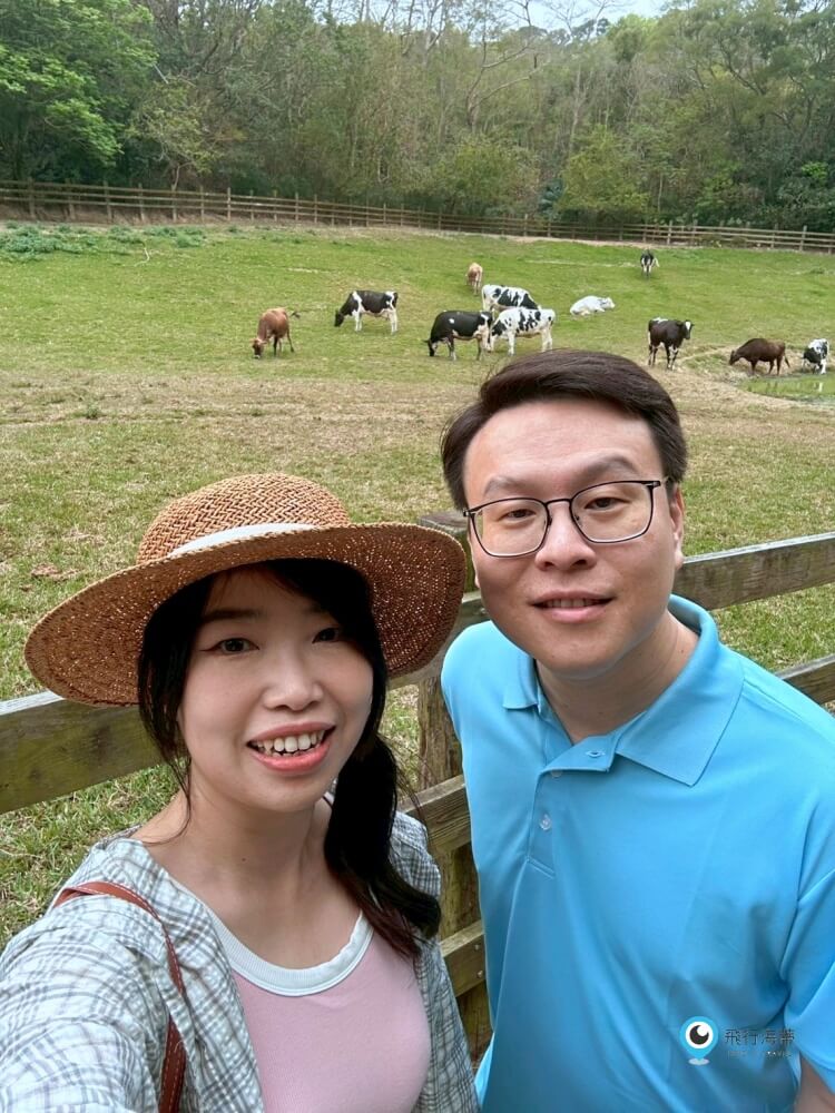 苗栗【飛牛牧場】台版紐西蘭 體驗擠牛奶  餵小羊喝奶 超大片草原超美拍療癒