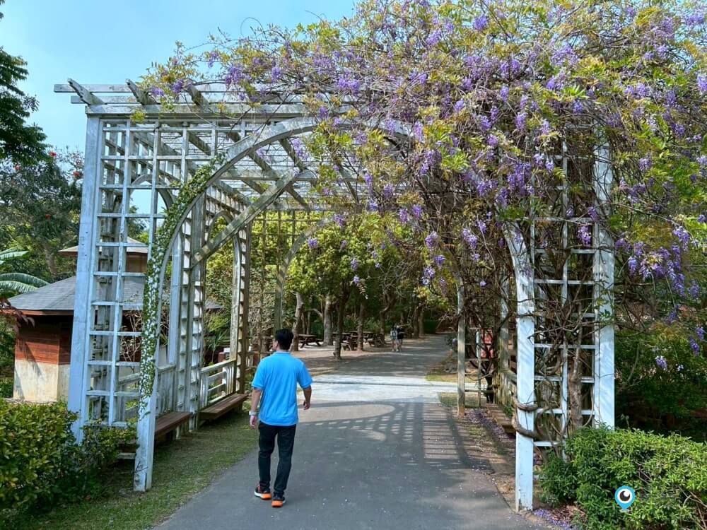苗栗【飛牛牧場】台版紐西蘭 體驗擠牛奶 餵小羊喝奶 超大片草原超美拍療癒 - 第60張圖 苗栗【飛牛牧場】台版紐西蘭 體驗擠牛奶 餵小羊喝奶 超大片草原超美拍療癒