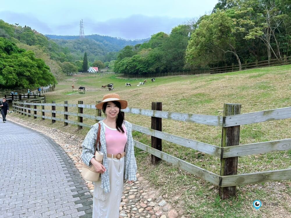 苗栗【飛牛牧場】台版紐西蘭 體驗擠牛奶 餵小羊喝奶 超大片草原超美拍療癒 - 第59張圖 苗栗【飛牛牧場】台版紐西蘭 體驗擠牛奶 餵小羊喝奶 超大片草原超美拍療癒