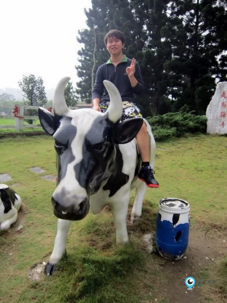 台南【走馬瀨農場】不只露營烤肉 還有彩色滑草區 稻草堆 馬術表演 熱鬧非凡